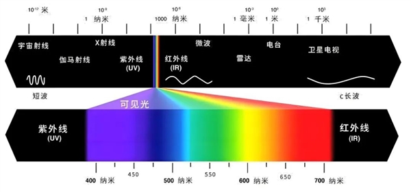 哺乳动物的眼睛失去一个骨环!让我们拥有强大的夜视潜能