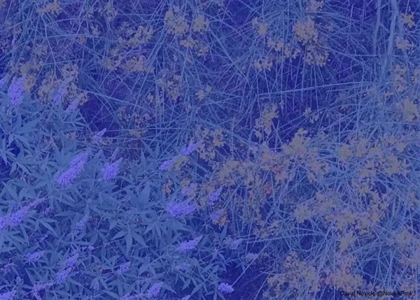 100%的人都会看错 这两球的颜色确实是一样的