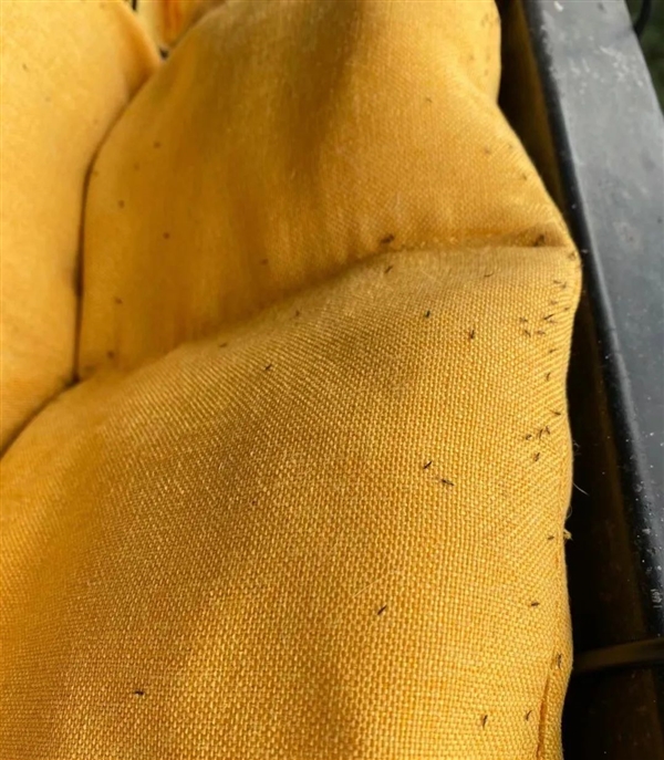 紧急提醒:最近不要穿这种颜色的衣服出门!