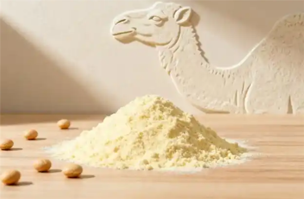 比牛奶营养价值高十倍!驼奶那么神吗 还是智商税