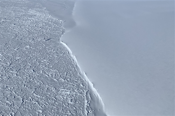 黑龙江水库冰面下现13匹冰冻马 主人:马扎堆喝水落水淹死