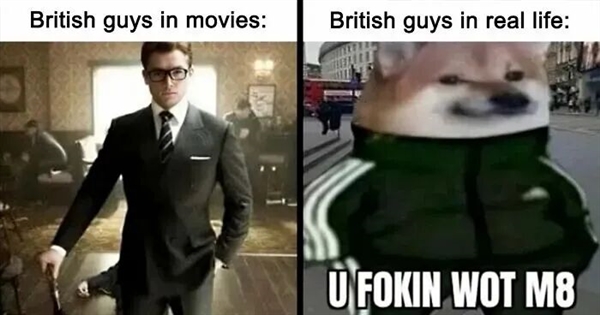 干翻马斯克!英国怎么就成比亚迪海外最大市场了呢