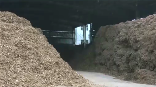 纯度高达99.9%!中国首个量产生物甲醇项目投产