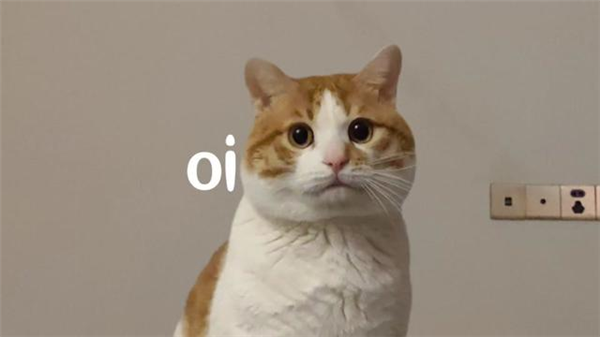 终于有实锤了:缺少实体按键的车就是更危险