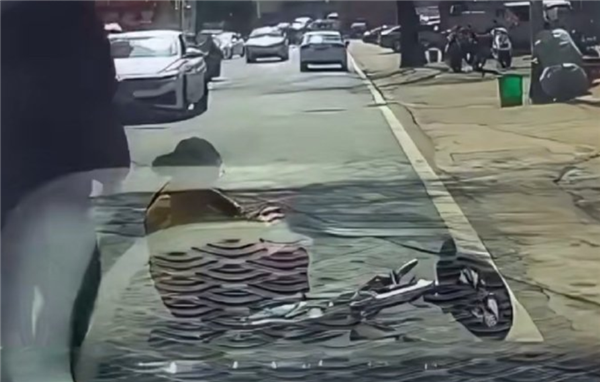 又想复制无接触事故!女子骑车摔倒反诬赖司机摁喇叭被吓到 记录仪显示路面颠簸所致