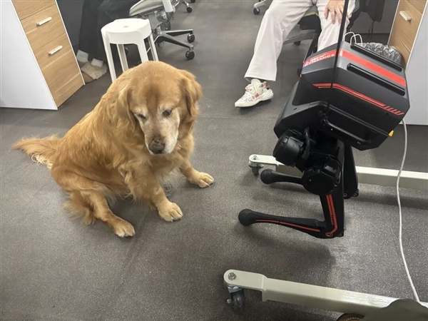 为了让它走两步 我的电脑抽了十几小时皮鞭