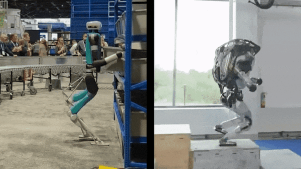 为了让它走两步 我的电脑抽了十几小时皮鞭