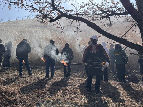 日本这座山不允许长树 每年都要烧一次！游客可付费体验