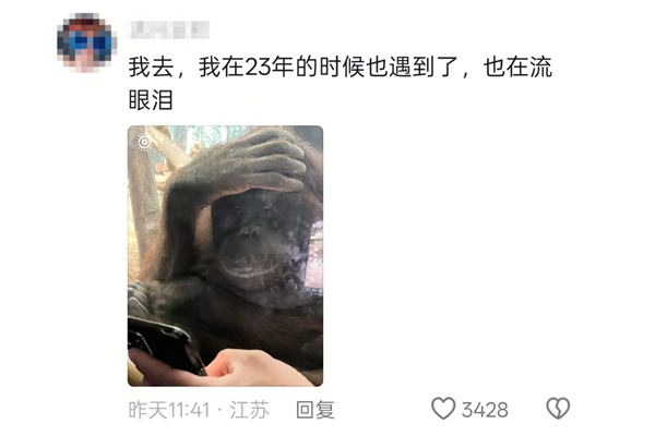 猩猩多次当众落泪惹争议 网友纷纷质疑：动物园为何要存在
