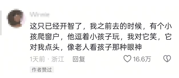猩猩多次当众落泪惹争议 网友纷纷质疑：动物园为何要存在