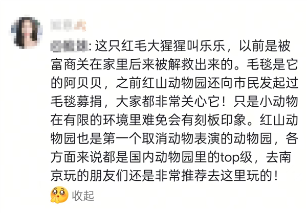猩猩多次当众落泪惹争议 网友纷纷质疑：动物园为何要存在
