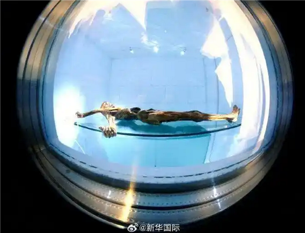 5300年历史“冰人”奥茨遗骸中微生物可能仍有活性：这研究细思极恐