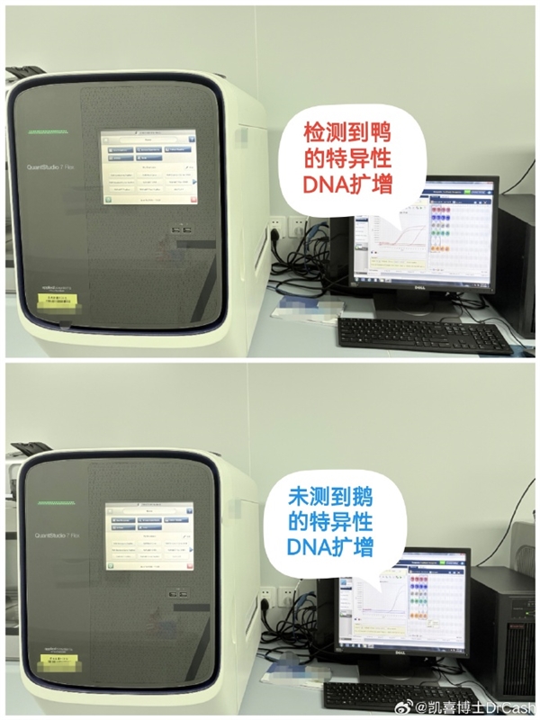 DNA检测结果出炉：鹅腿阿姨售卖食材确为鸭腿