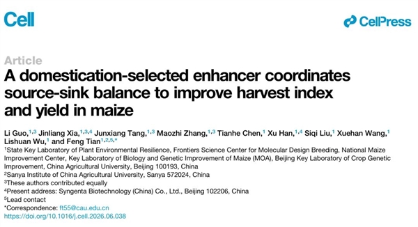 中国科学家找到玉米增产开关登《细胞》 多地试验稳定增产超10%